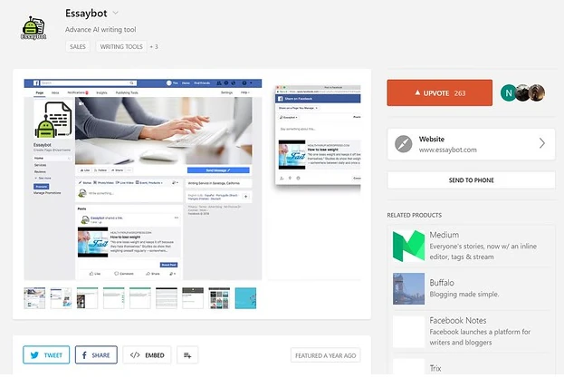 EssayBot page
